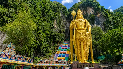 Rainforest and highland travel guide