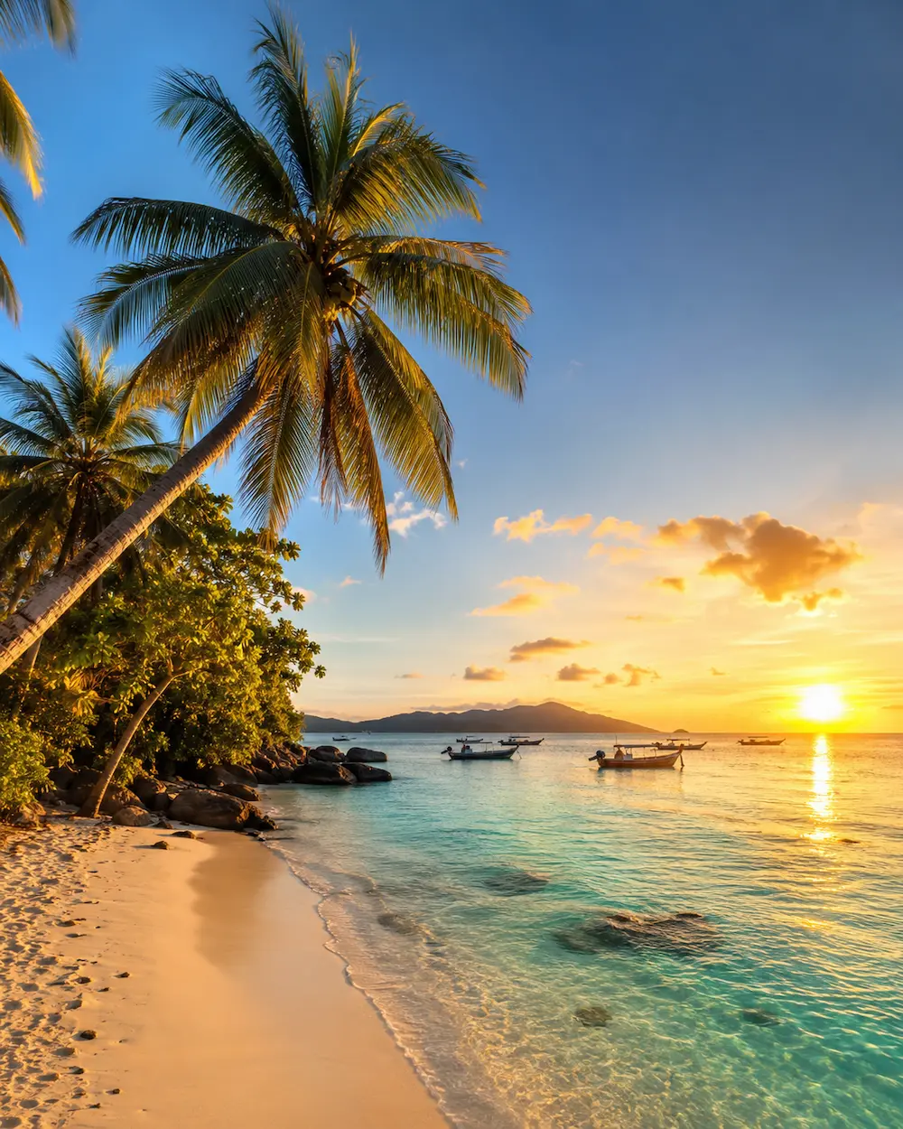 Travellers planning a Malaysia domestic route